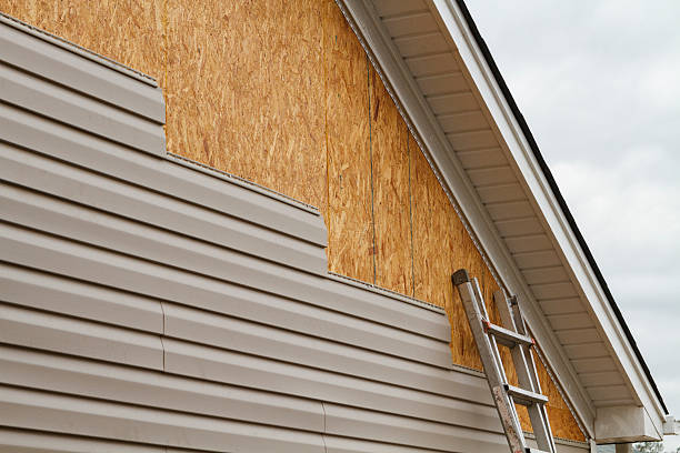 Professional Siding Repair technician working in Edinburg, IL
